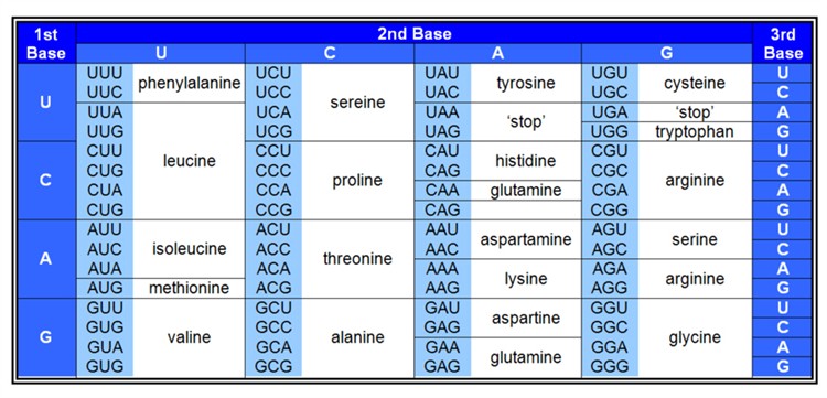 Genetic code