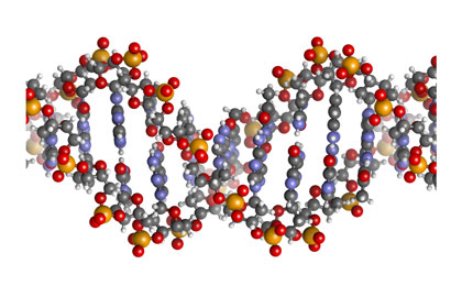 The biochemical case against new genes evolving 